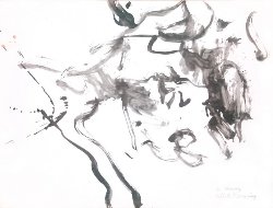 Willem Art Willem Art
