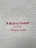A Budding Passion 2003 - Framed Giclee On Canvas Limited Edition Print by Thomas Arvid - 8
