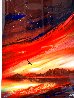 Sunset Flight 2019 Limited Edition Print by Ashton Howard - 2