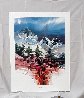 Amethyst Canyon 1995 Limited Edition Print by Michael Atkinson - 1