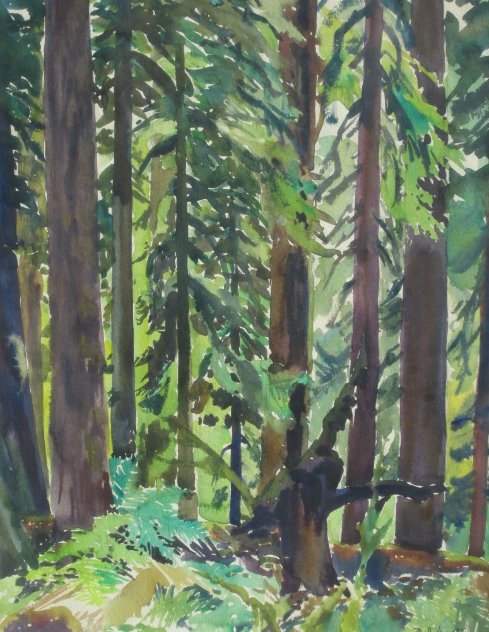 Majesty of the Forest Watercolor 1960 25x31 Watercolor by Phillip Austin