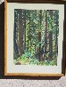 Majesty of the Forest Watercolor 1960 25x31 Watercolor by Phillip Austin - 1