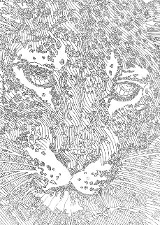 E'tude Leopard 2001 33x27 Drawing - Guillaume Azoulay E'tude Leopard 2001 33x27 Drawing - Guillaume Azoulay