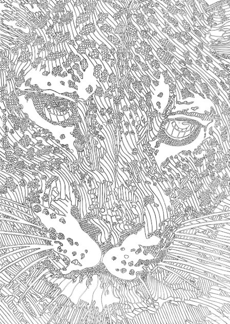 E'tude Leopard 2001 33x27 Drawing by Guillaume Azoulay