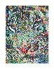 Tigris II Limited Edition Print by Guillaume Azoulay - 0