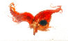Untitled 2004 26x17 Works on Paper (not prints) by Anne Bachelier - 0