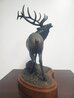Elk Bronze Sculpture 1985 18 in Sculpture by Gerald Balciar - 4