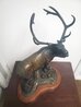 Elk Bronze Sculpture 1985 18 in Sculpture by Gerald Balciar - 3