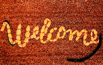 Welcome Mat Tapestry 2020 Tapestry - Banksy Welcome Mat Tapestry 2020 Tapestry - Banksy