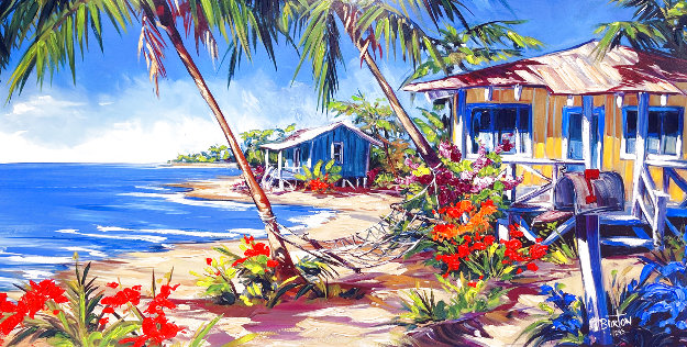 Beach Villas 2011 Embellished by Steve Barton