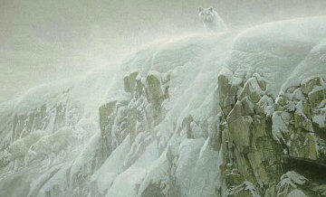 Arctic Cliff - White Wolves 1991 Limited Edition Print - Robert Bateman Arctic Cliff - White Wolves 1991 Limited Edition Print - Robert Bateman
