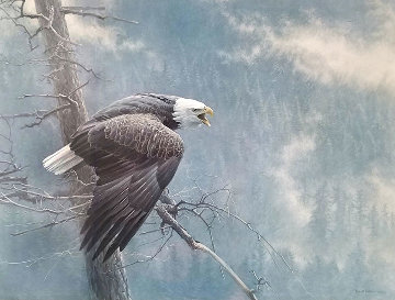 Air, The Forest, And The Watch 1989 Limited Edition Print - Robert Bateman Air, The Forest, And The Watch 1989 Limited Edition Print - Robert Bateman