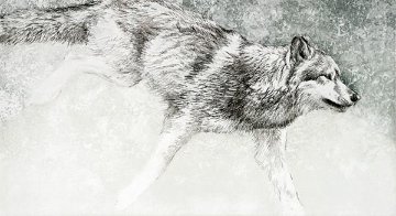 Wolf 2009 Limited Edition Print - Robert Bateman Wolf 2009 Limited Edition Print - Robert Bateman