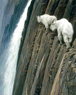 Sheer Drop - Mountain Goats Limited Edition Print - Robert Bateman Sheer Drop - Mountain Goats Limited Edition Print - Robert Bateman