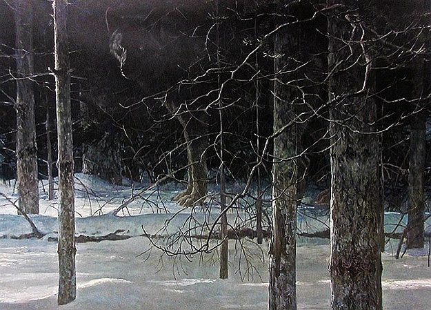 Midnight-Black Wolf 1990 Limited Edition Print - Robert Bateman