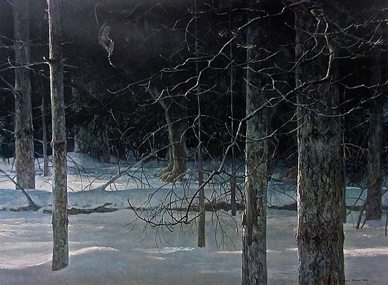 Midnight Black Wolf 1990 Lithograph 25x31 by Robert Bateman