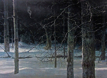 Midnight Black Wolf 1990 Limited Edition Print - Robert Bateman Midnight Black Wolf 1990 Limited Edition Print - Robert Bateman