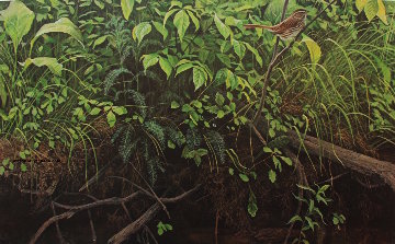 Stream Bank in June 1968 Limited Edition Print - Robert Bateman Stream Bank in June 1968 Limited Edition Print - Robert Bateman