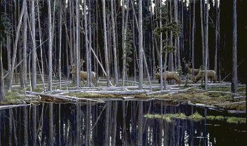 Elk at Yellowstone 1990 - Huge Limited Edition Print - Robert Bateman Elk at Yellowstone 1990 - Huge Limited Edition Print - Robert Bateman