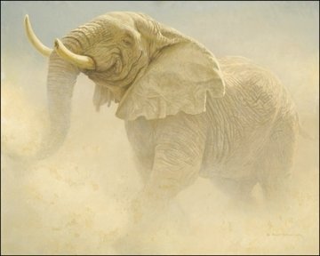 Bluffing Bull - African Elephant 1979 Limited Edition Print - Robert Bateman