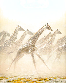 Galloping Herd - Giraffes 1981 Limited Edition Print - Robert Bateman