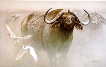 Master of the Herd: African Buffalo 1979 Limited Edition Print - Robert Bateman