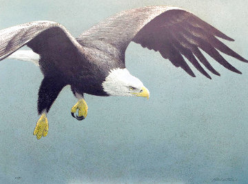 Approach - Bald Eagle CE 1995 - Huge Limited Edition Print - Robert Bateman Approach - Bald Eagle CE 1995 - Huge Limited Edition Print - Robert Bateman