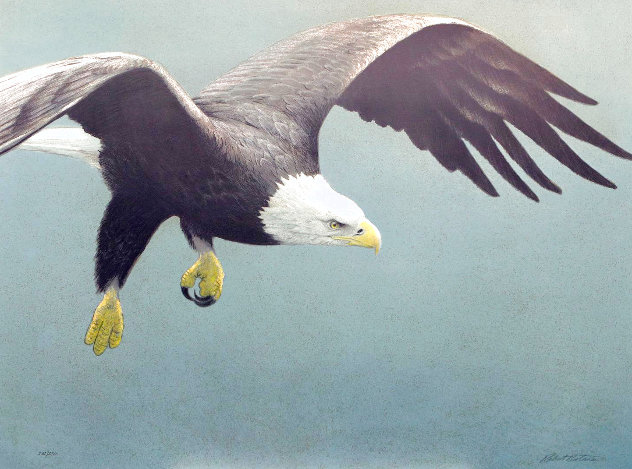 Approach - Bald Eagle CE 1995 - Huge Limited Edition Print by Robert Bateman