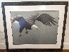 Approach - Bald Eagle CE 1995 - Huge Limited Edition Print by Robert Bateman - 1