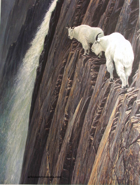 Sheer Drop 1993 - Huge - California by Robert Bateman