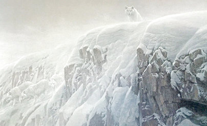 Robert Bateman Limited Edition Prints For Sale, Wanted