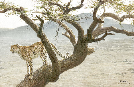 Lewa Cheetah AP - Huge Limited Edition Print - Robert Bateman