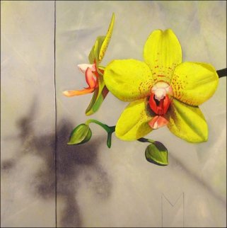 Yellow Orchids 2008 15x15 Original Painting - Matthew Bates Yellow Orchids 2008 15x15 Original Painting - Matthew Bates