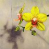 Yellow Orchids 2008 15x15 Original Painting by Matthew Bates - 0
