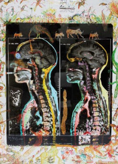 Mri-Irm AP 1998 Photography - Peter Hill Beard Mri-Irm AP 1998 Photography - Peter Hill Beard