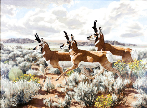 Longhorn Antelope on the Move 1960 30x36 Original Painting - Tom Beecham