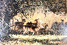 Whitetail Deer: Backwoods to Backyard 1960 28x36 Original Painting by Tom Beecham - 0