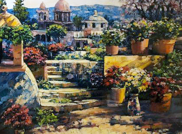 Domes of Mexico 2011 Limited Edition Print by Howard Behrens