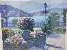 View From Grand Hotel - Bellagio 2007 - Italy Limited Edition Print by Howard Behrens - 2