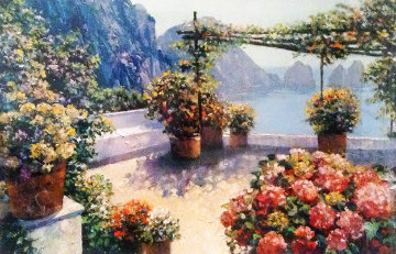 Patio Over Capri 2003 Limited Edition Print - Howard Behrens