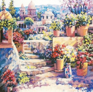Domes of Mexico 2011 Embellished Limited Edition Print - Howard Behrens Domes of Mexico 2011 Embellished Limited Edition Print - Howard Behrens