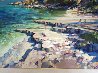 Corfu Beach 1988 44x58 (Greece) Original Painting by Howard Behrens - 3