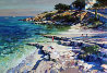 Corfu Beach 1988 44x58 (Greece) Original Painting by Howard Behrens - 0
