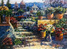 Domes of Mexico 2011 Limited Edition Print by Howard Behrens - 0 Domes of Mexico 2011 Limited Edition Print by Howard Behrens - 0