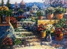 Domes of Mexico 2011 Huge Limited Edition Print by Howard Behrens - 0