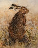 Curious Hare Limited Edition Print by Gary Benfield - 0