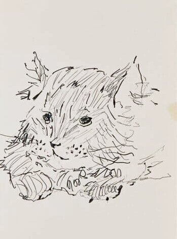 Untitled Cat Sketch 4x2 Drawing - Tony Bennett