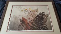 Ferns Limited Edition Print by Elton Bennett - 2 Ferns Limited Edition Print by Elton Bennett - 2