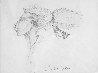 Windface Study Drawing 1999 14x17 Drawing by Charles Bibbs - 0 Windface Study Drawing 1999 14x17 Drawing by Charles Bibbs - 0