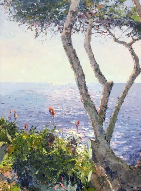 Mediterranean Shore 2002 39x50 Original Painting by Pierre Bittar